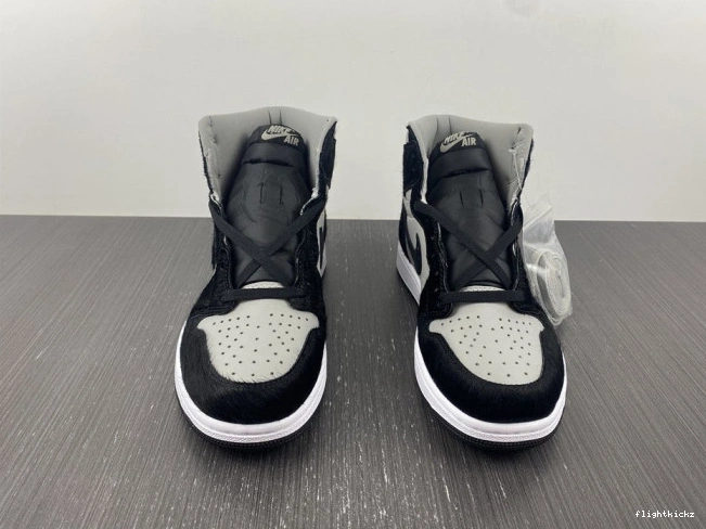 DZ2523-001 Twist 1 High 2.0 OG Air WMNS Jordan 1110